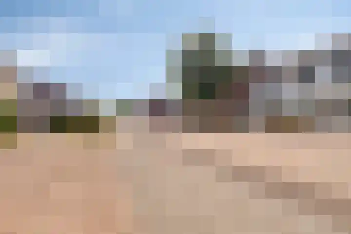 De Romme 6 Berlicum thumbnail 35