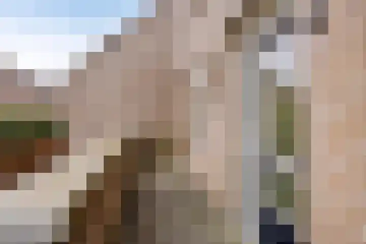 De Romme 8 Berlicum thumbnail 10