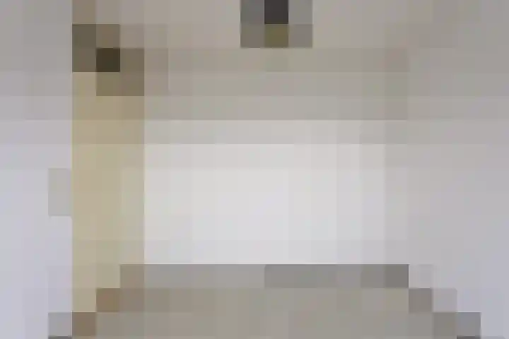 De Romme 8 Berlicum thumbnail 23