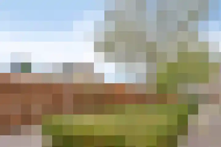 De Romme 8 Berlicum thumbnail 27