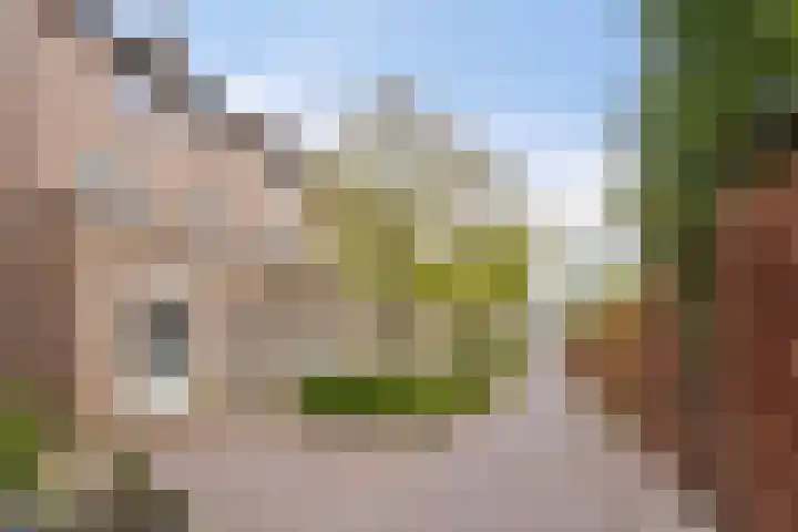 De Romme 8 Berlicum thumbnail 28