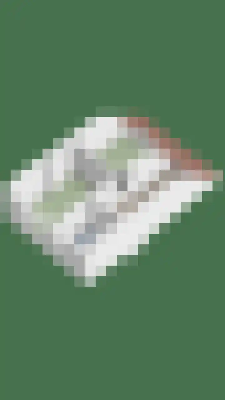 De Romme 8 Berlicum thumbnail 32