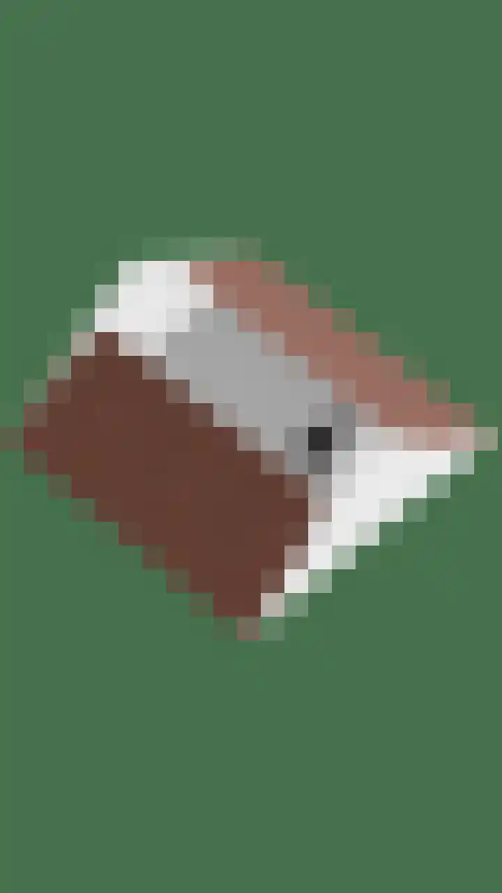 De Romme 8 Berlicum thumbnail 34