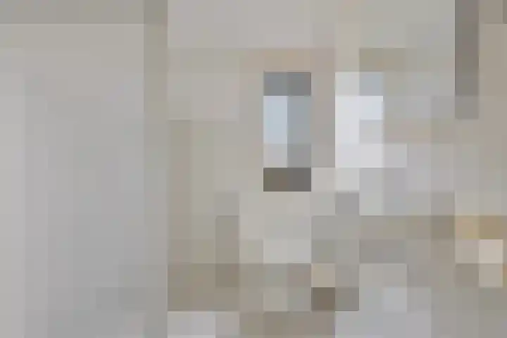De Romme 8 Berlicum thumbnail 6