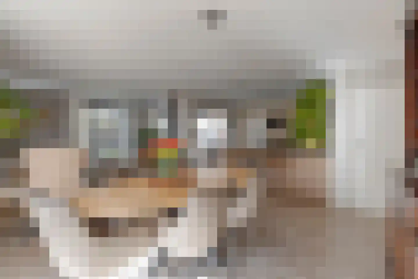 de Ronde 11 Best thumbnail 10
