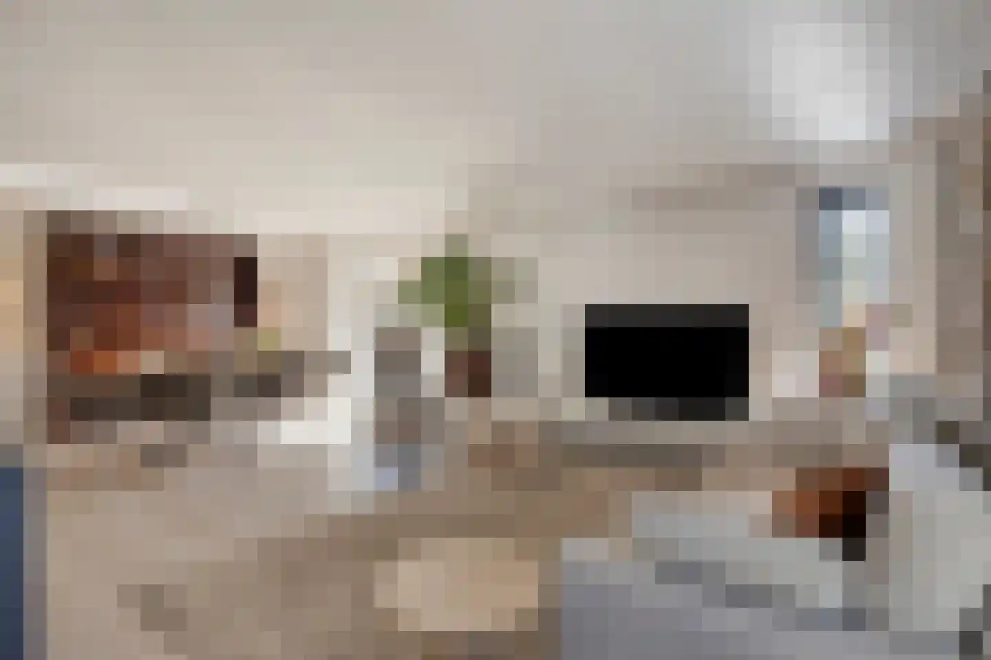 de Ronde 11 Best thumbnail 11