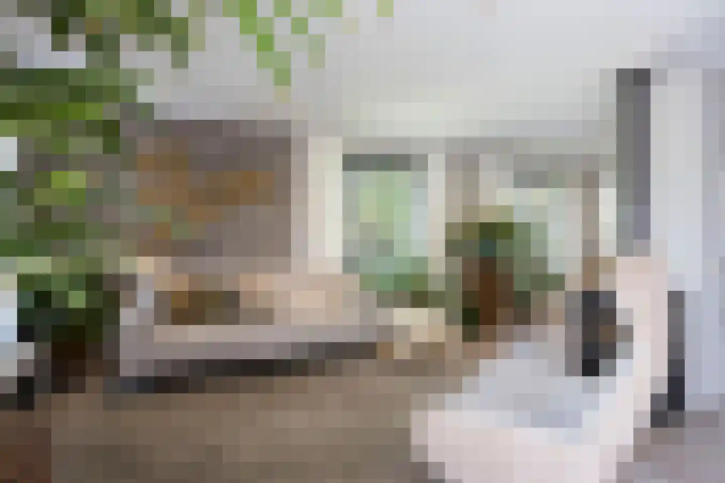 de Ronde 11 Best thumbnail 14