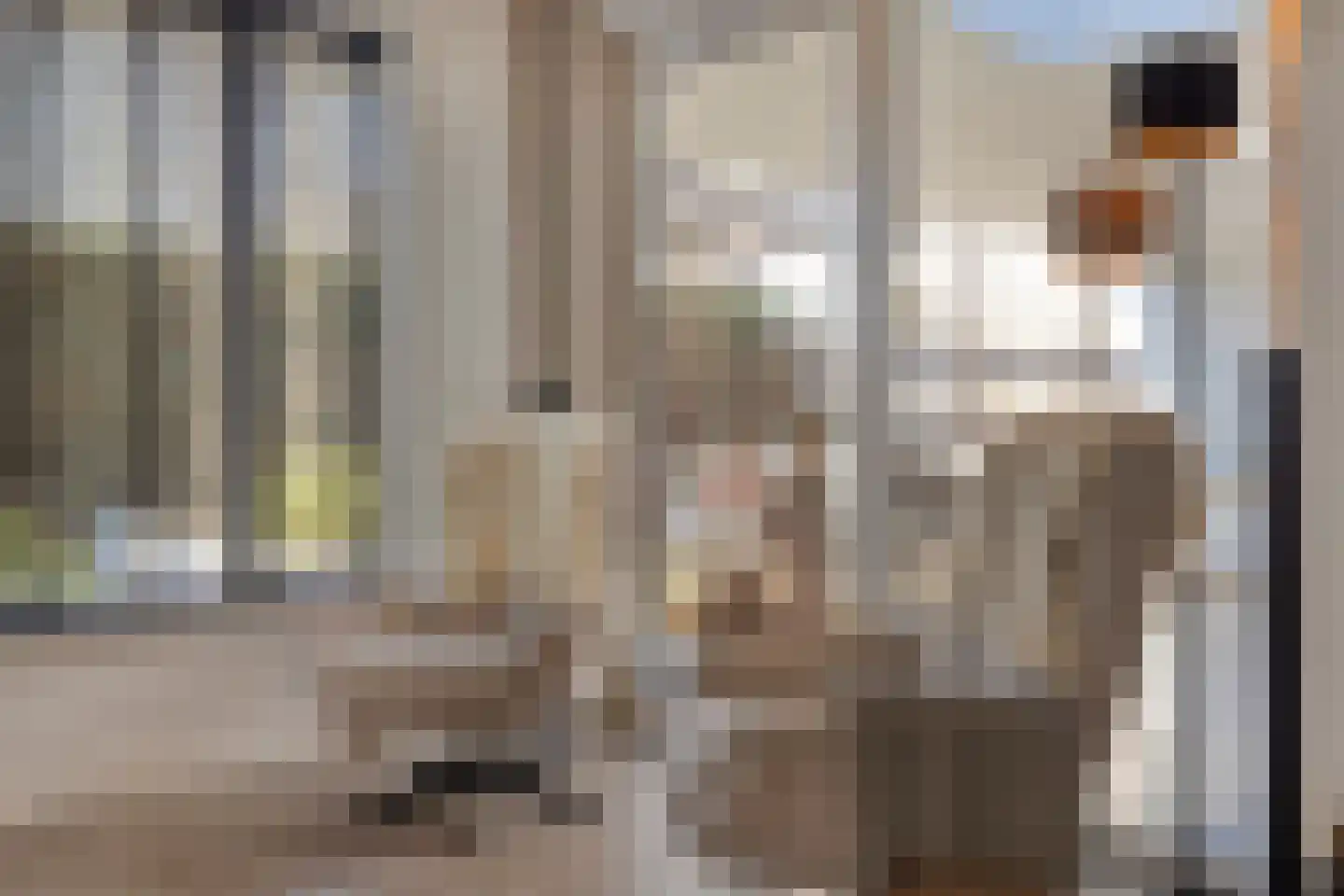 de Ronde 11 Best thumbnail 18