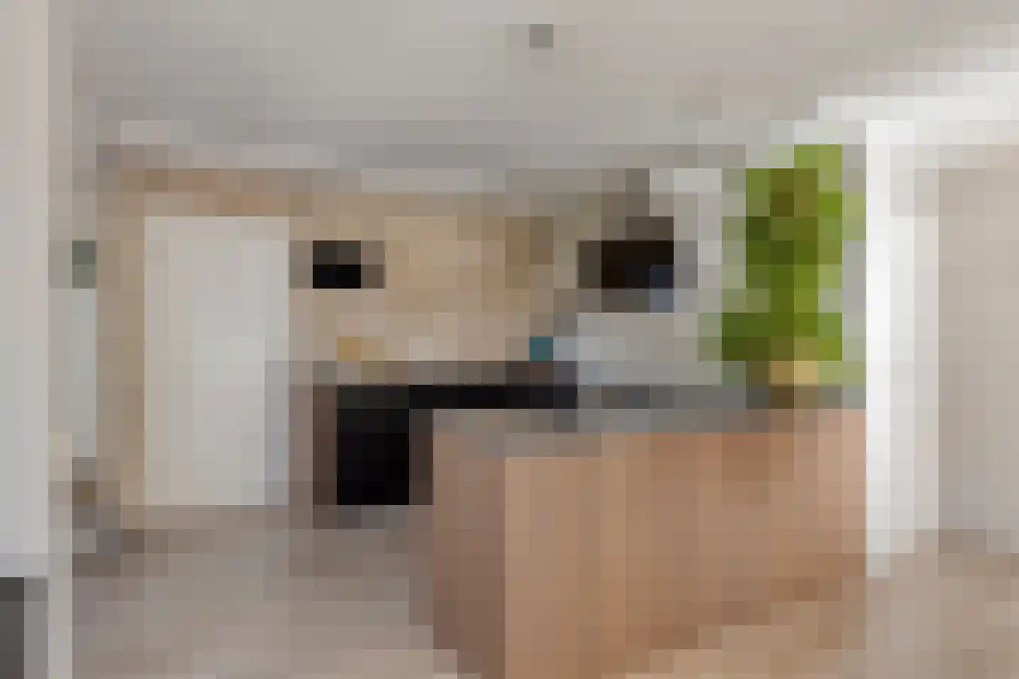 de Ronde 11 Best thumbnail 22