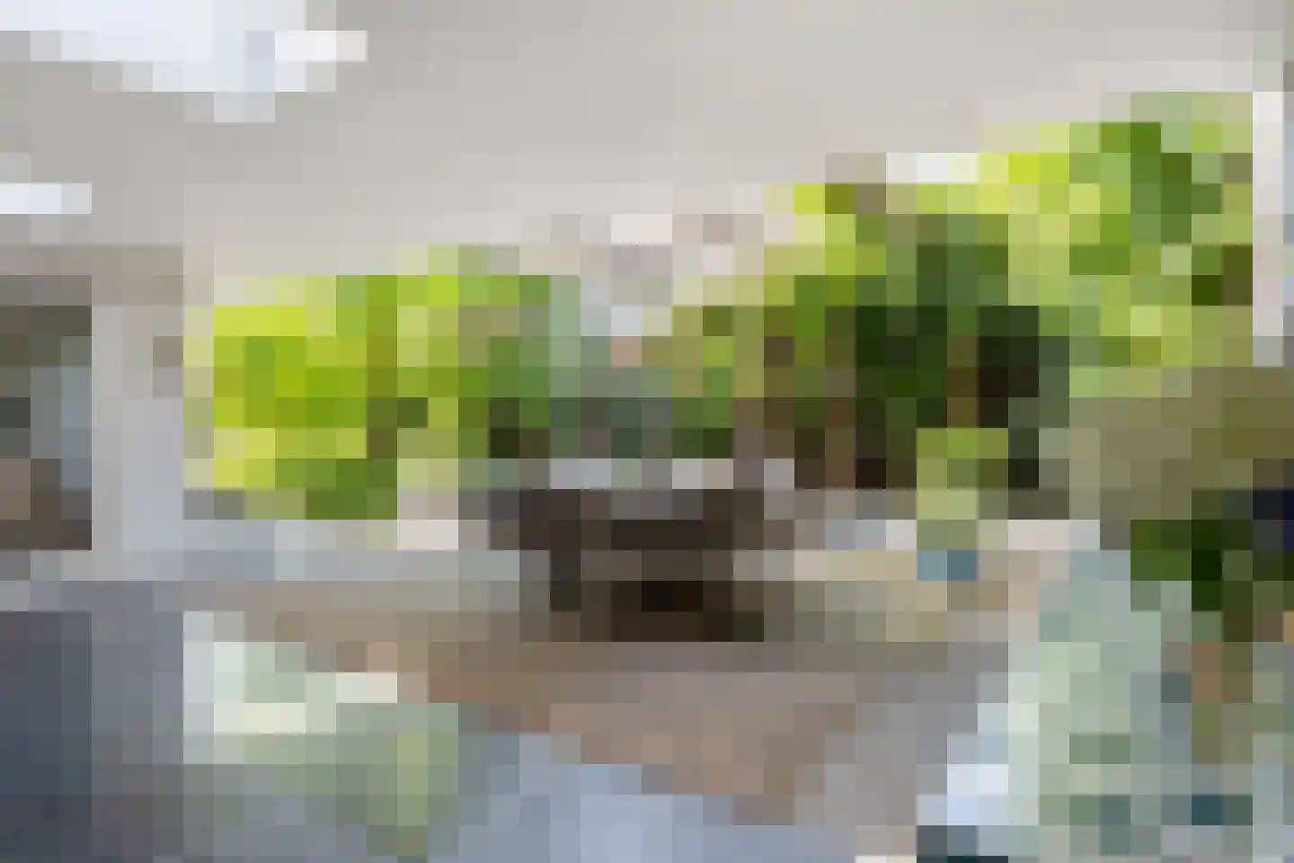 de Ronde 11 Best thumbnail 49