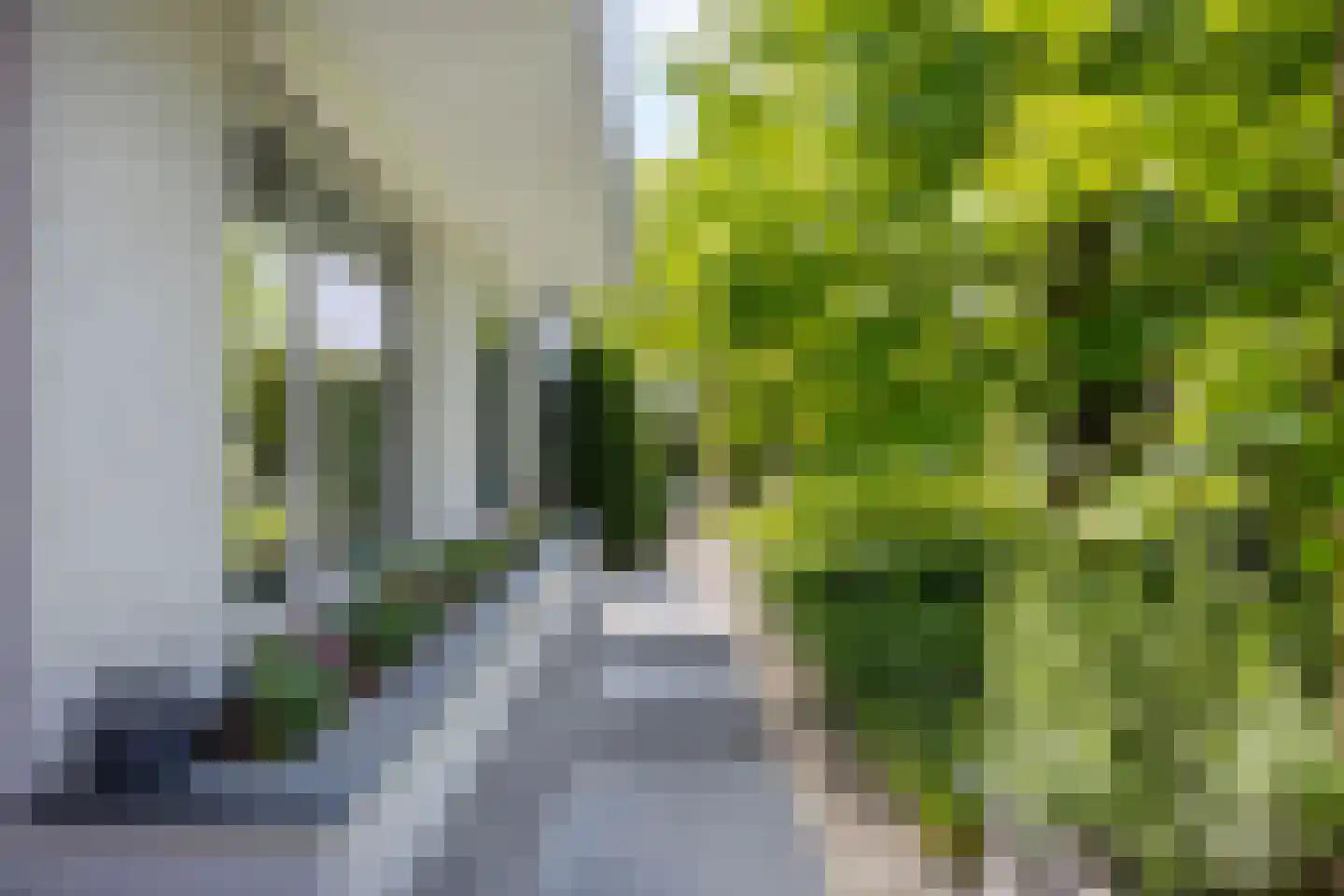 de Ronde 11 Best thumbnail 52