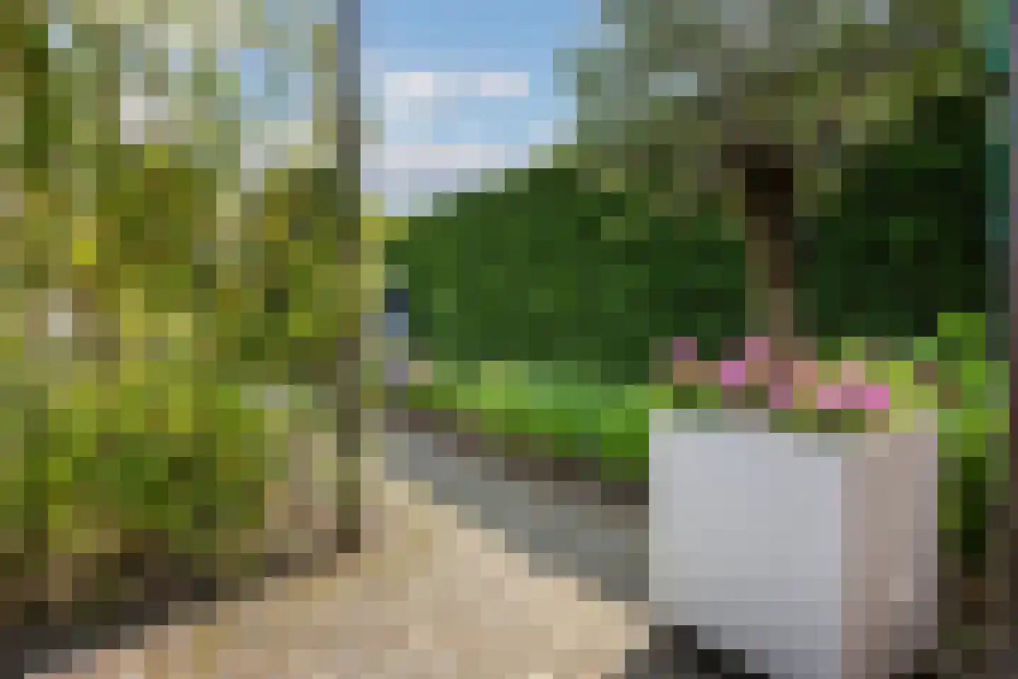 de Ronde 11 Best thumbnail 53