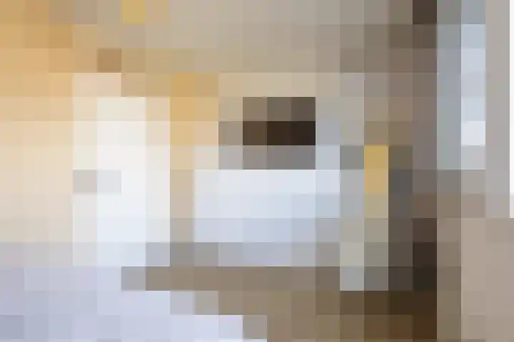 De Ronde Maat 26 Rijssen thumbnail 31