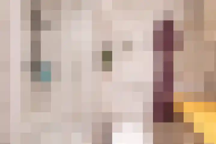 De Ronde Maat 26 Rijssen thumbnail 38