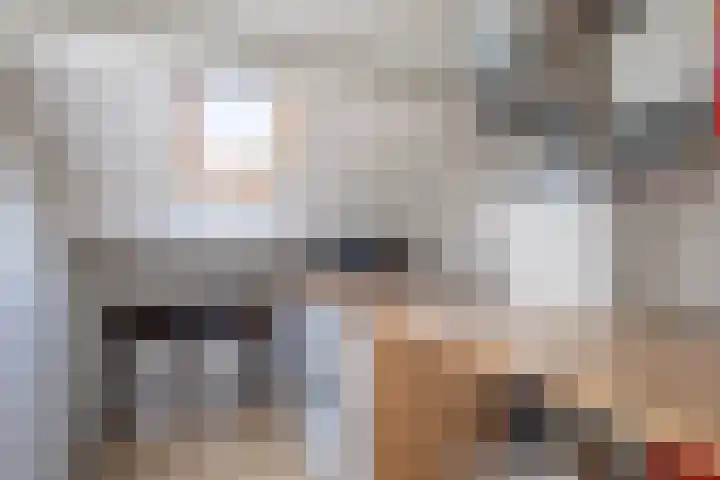 De Ronde Maat 26 Rijssen thumbnail 43