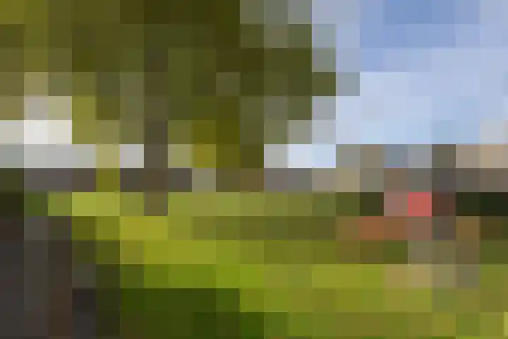 De Ronde Maat 26 Rijssen thumbnail 53