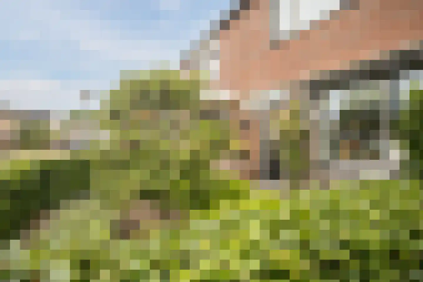 De Ronde Maat 89 Rijssen foto 2