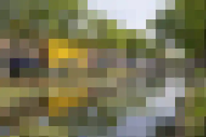 De Rondensteeg 4 Weesp thumbnail 19