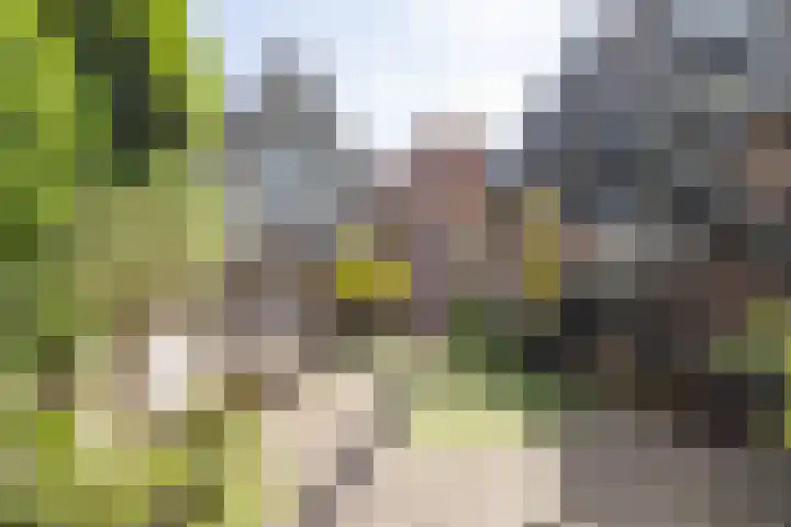 De Rondensteeg 6 Weesp thumbnail 31