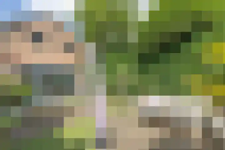 De Rondensteeg 6 Weesp thumbnail 32
