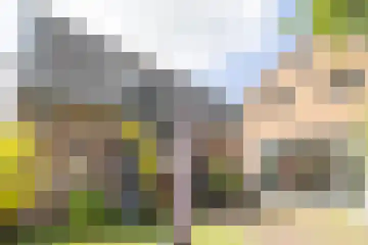 De Rondensteeg 6 Weesp thumbnail 33