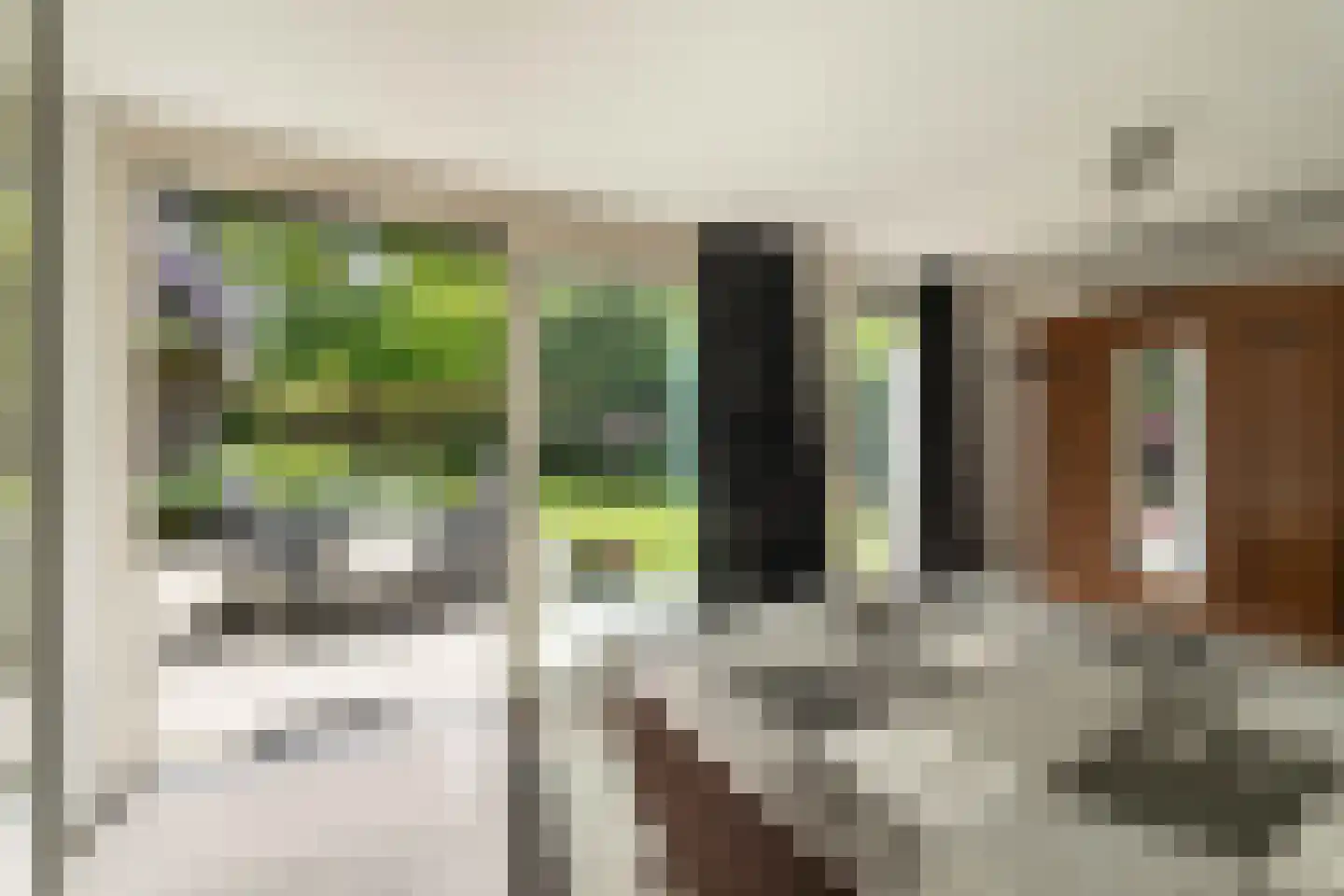 De Ronge 11 Heiloo thumbnail 12