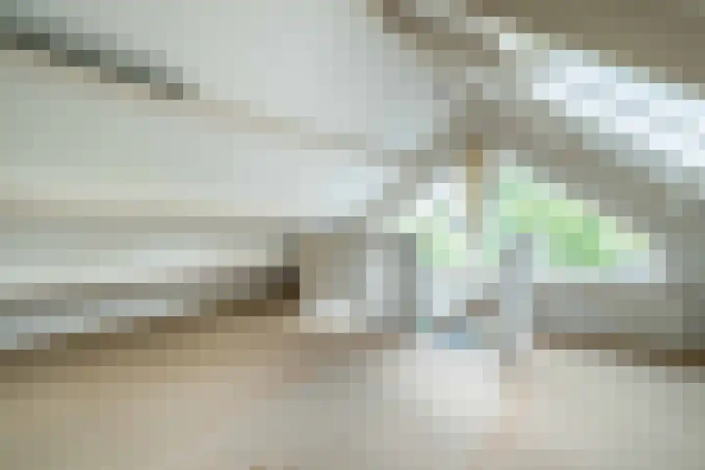 De Ronge 11 Heiloo thumbnail 22