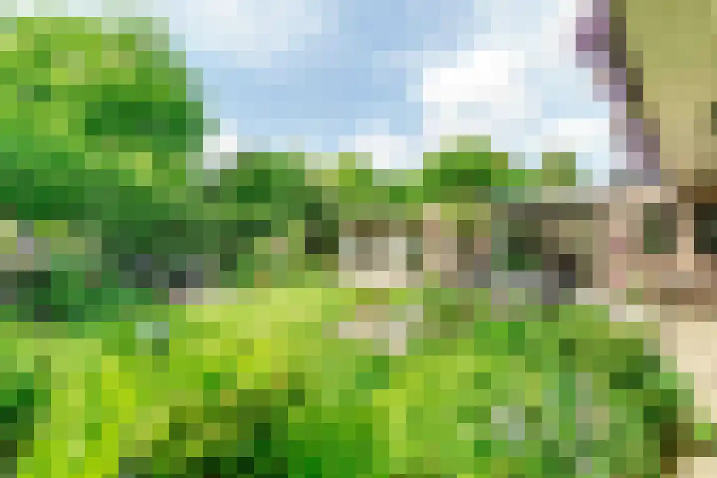 De Ronge 11 Heiloo thumbnail 23