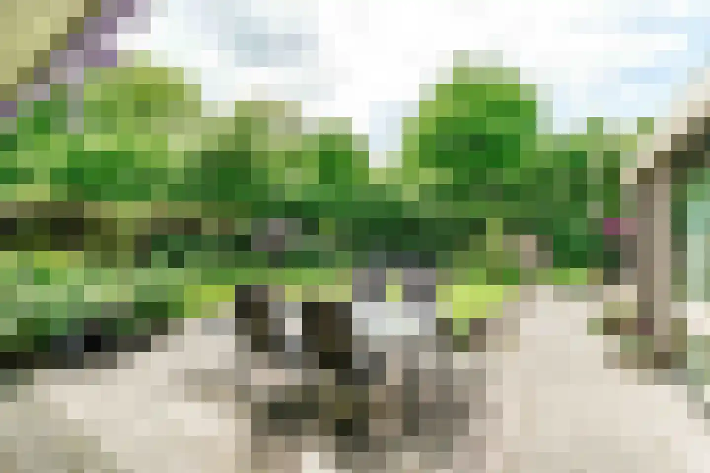 De Ronge 11 Heiloo thumbnail 24
