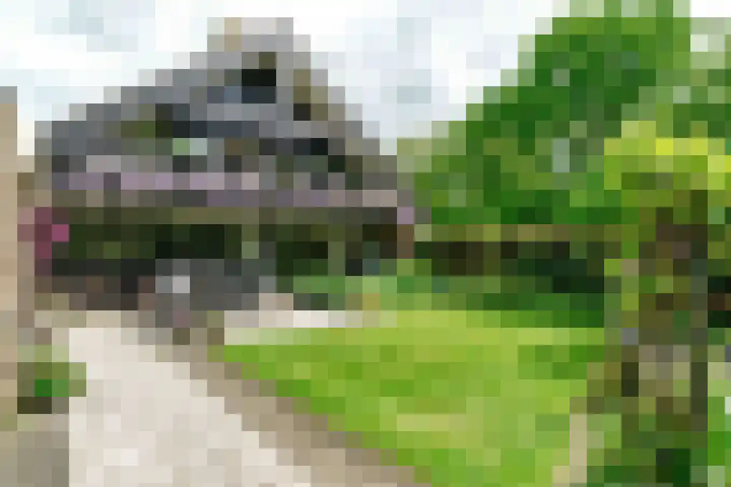De Ronge 11 Heiloo thumbnail 25