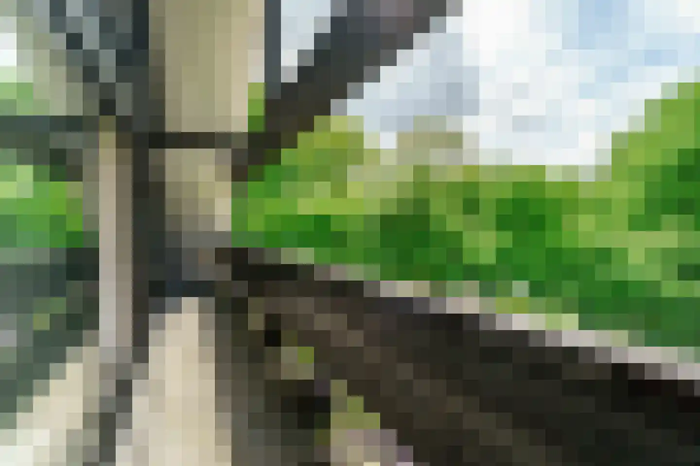 De Ronge 11 Heiloo thumbnail 27
