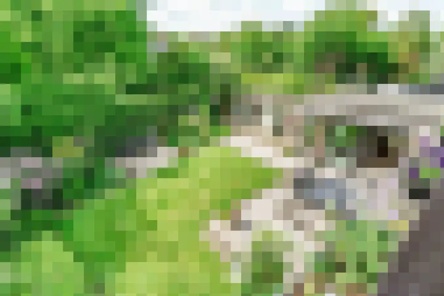 De Ronge 11 Heiloo thumbnail 28