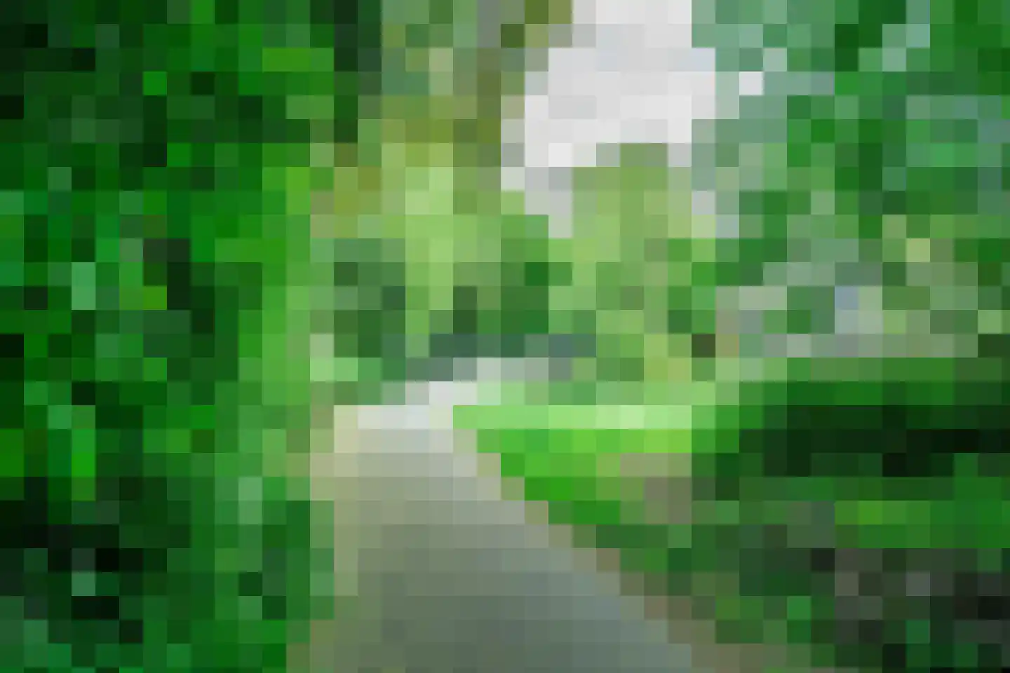 De Ronge 11 Heiloo thumbnail 31