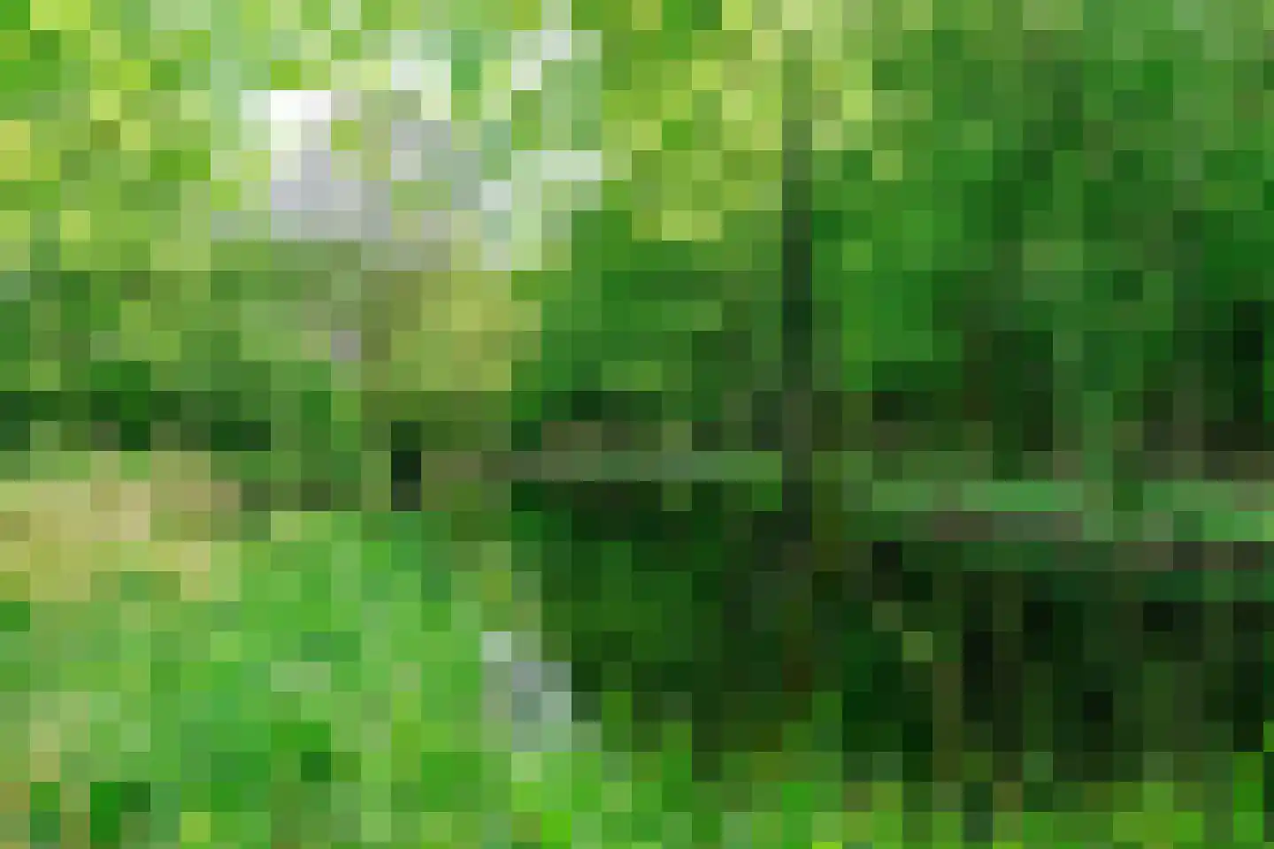 De Ronge 11 Heiloo thumbnail 32