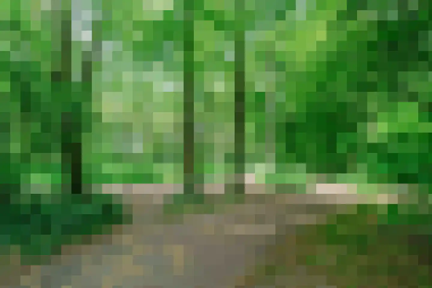 De Ronge 11 Heiloo thumbnail 33