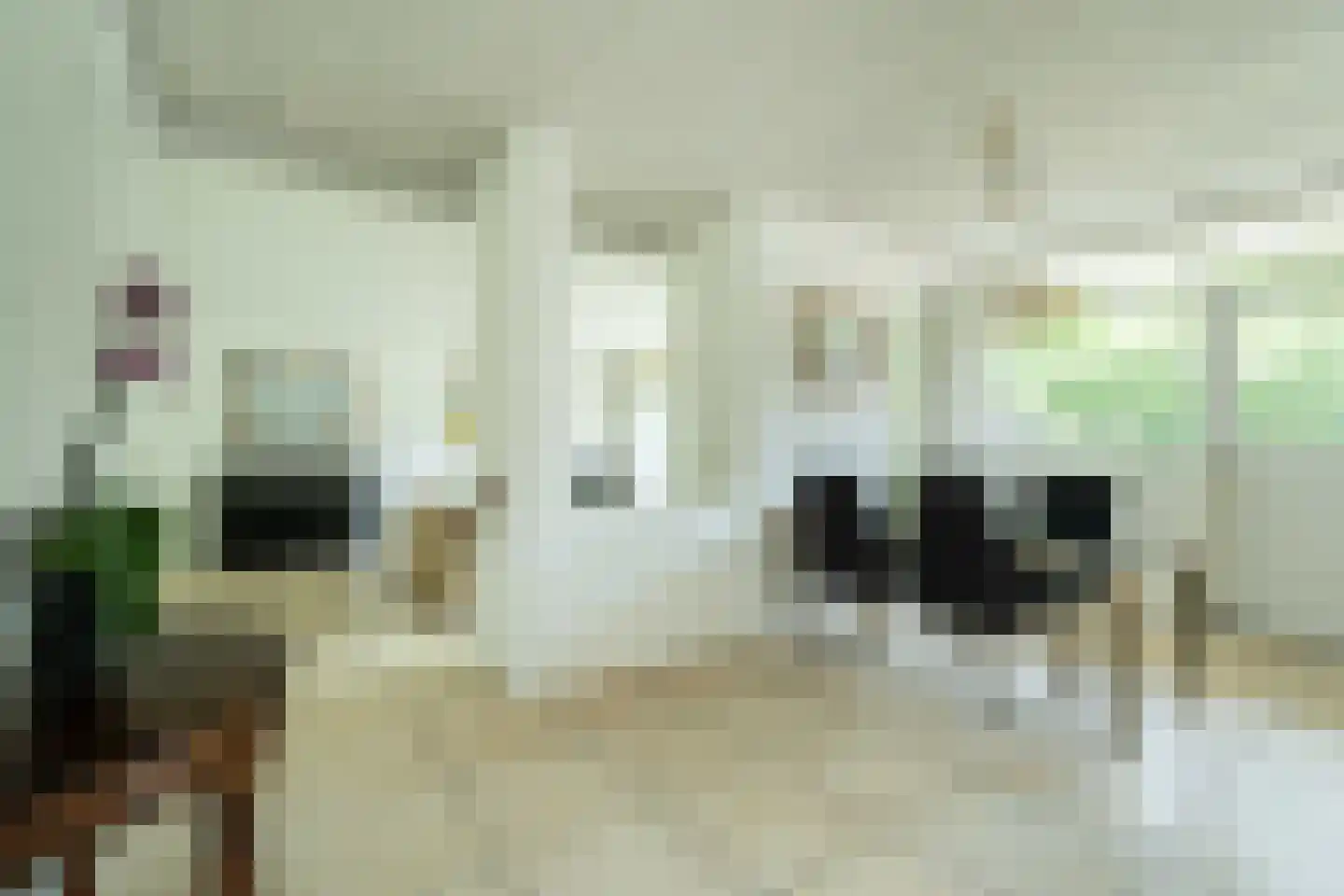 De Ronge 11 Heiloo thumbnail 5