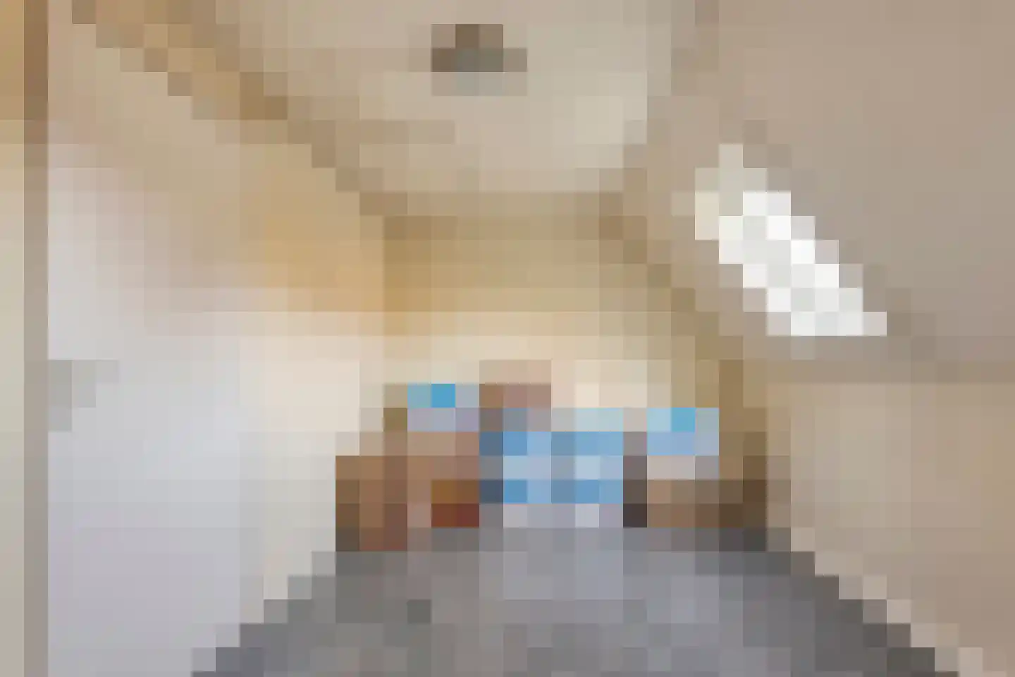 De Ronge 31 Beilen thumbnail 25