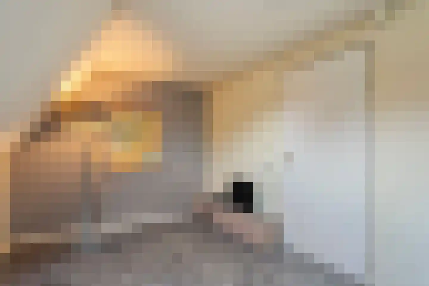 De Ronge 31 Beilen thumbnail 26
