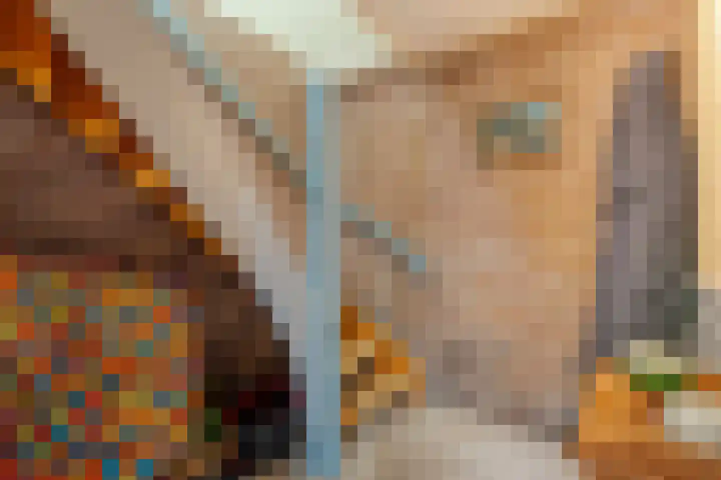 De Ronge 31 Beilen thumbnail 30