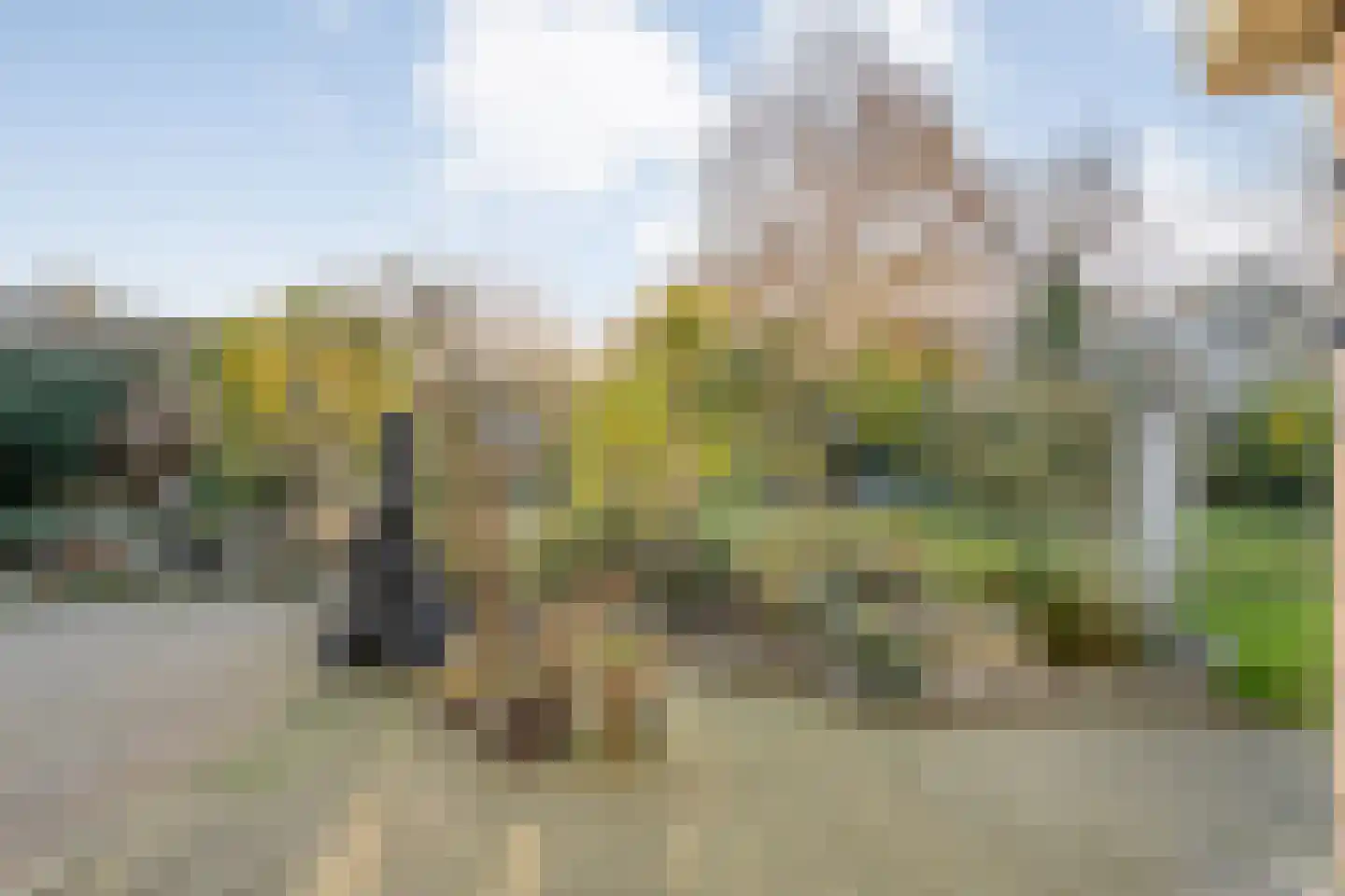 De Ronge 31 Beilen thumbnail 35