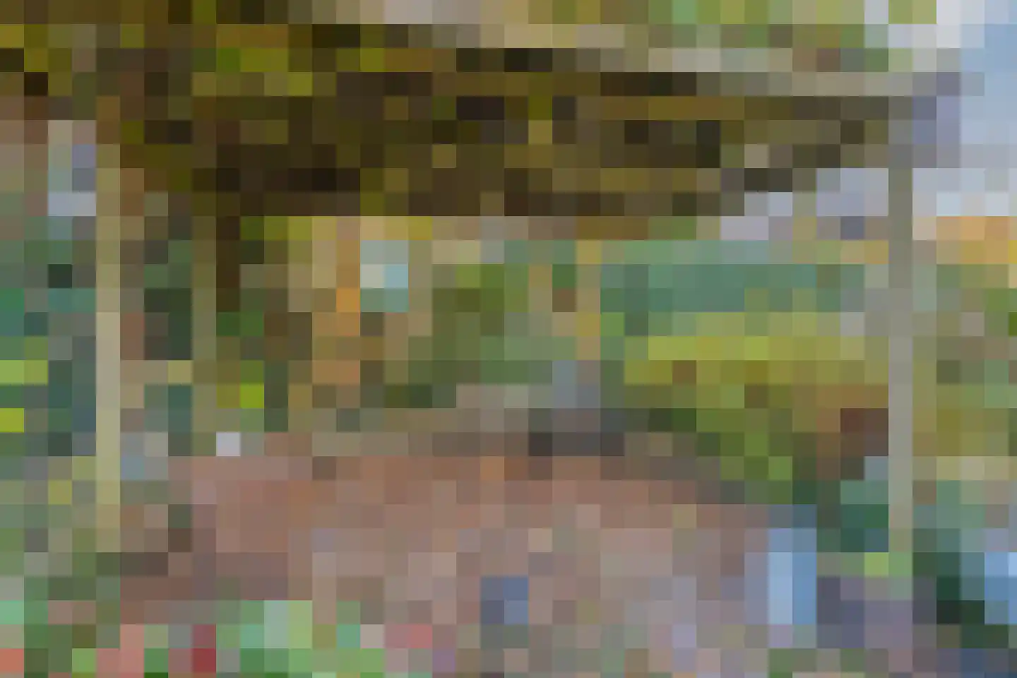 De Ronge 31 Beilen thumbnail 39
