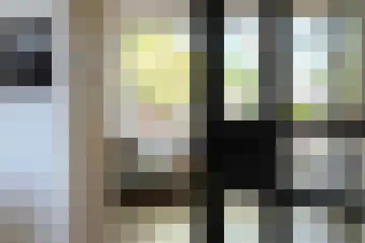 De Roobol 23 Zwartsluis thumbnail 11