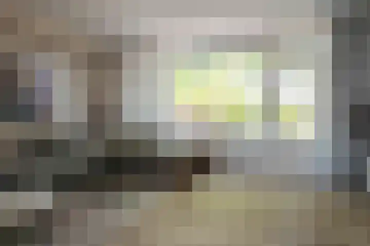 De Roobol 23 Zwartsluis thumbnail 12