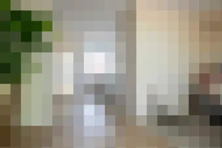 De Roobol 23 Zwartsluis thumbnail 15