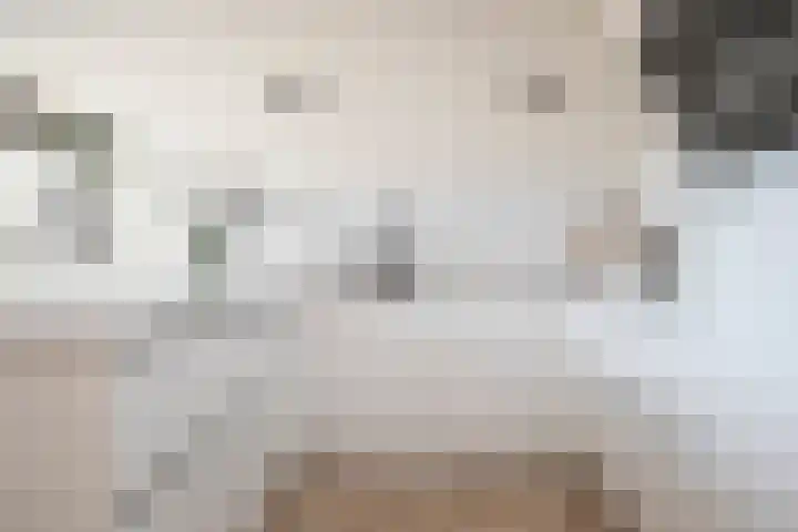De Roobol 23 Zwartsluis thumbnail 16
