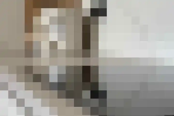 De Roobol 23 Zwartsluis thumbnail 18