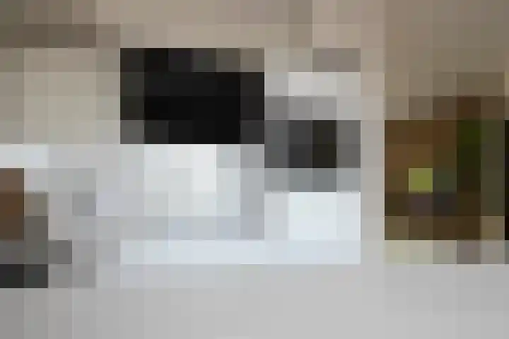 De Roobol 23 Zwartsluis thumbnail 19