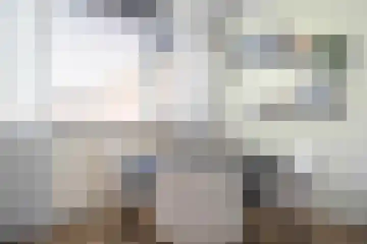 De Roobol 23 Zwartsluis thumbnail 20