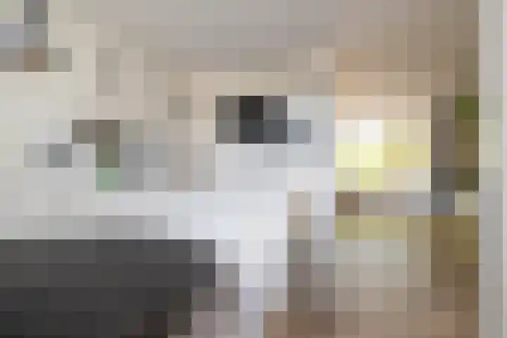 De Roobol 23 Zwartsluis thumbnail 21