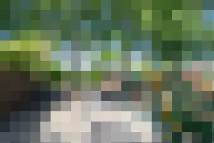 De Roobol 23 Zwartsluis thumbnail 22